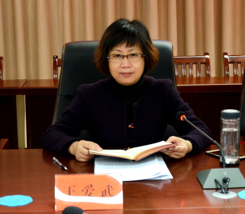 区委书记王爱武主持会议并讲话,潘功发,方波,汪俊启,王征兵,张帆,贺