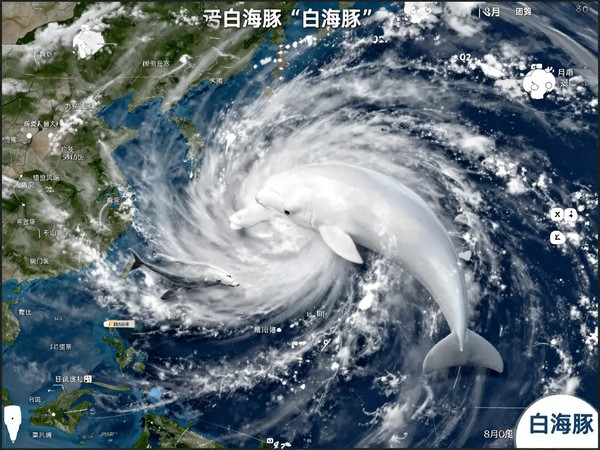 微信图片_20260811143756_58_2.jpg