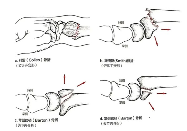 微信图片_20261013111602_715_2.jpg