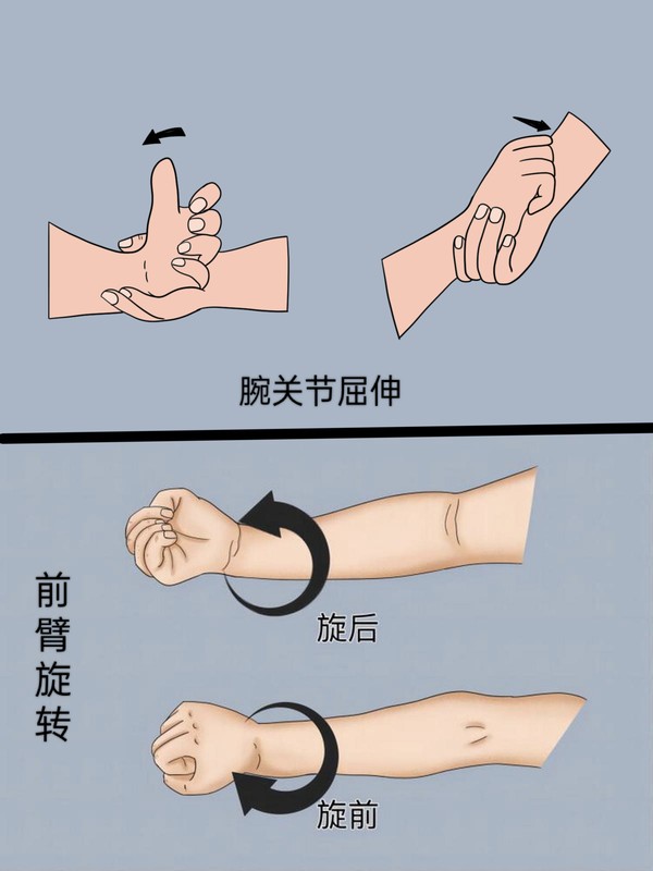 微信图片_20261013111603_716_2.jpg