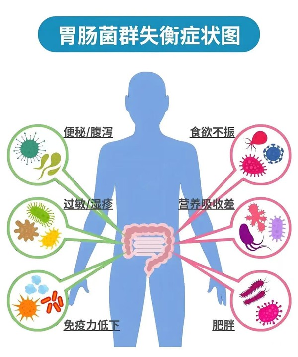 微信图片_2026-08-01_104533_338.jpg