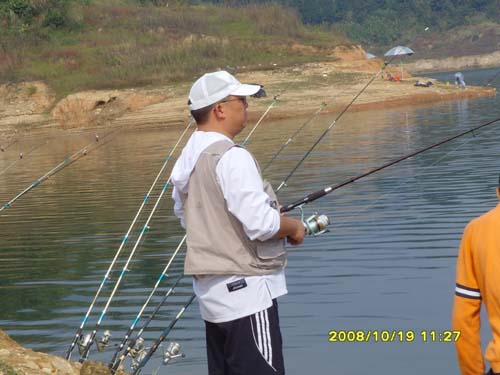 SNV31219.jpg