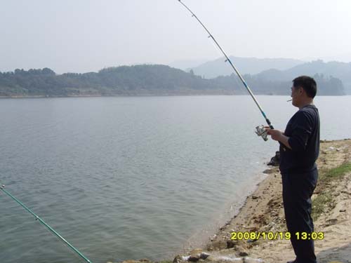 SNV31228.jpg